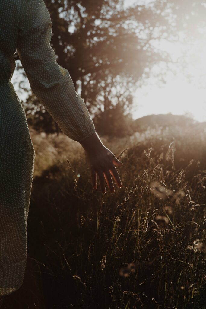 Close-up of a woman's hand reaching out to touch tall wild grass in a field at sunset